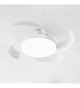 Amazon.co.jp : 【Amazon限定ブランド】シーリングファンライトMolis用