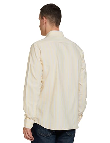 Image of Arrow Men's Striped Slim Fit Shirt