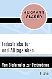 Industriekultur und Alltagsleben: Vom Biedermeier zur Postmoderne - Hermann Glaser 