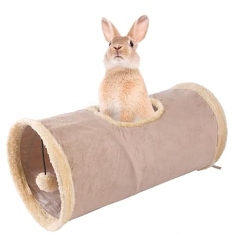 �y�b�g �g���l�� ������ �L �������� �������p �n�E�X �܂肽���� �X�G�[�h�f�� �ӂ�ӂ� �R���p�N�g���[ �|���|���t�� �e �������b�g �n���X�^�[ �`���`�� ���� ���K �V�я� �ߋ� �x�[�W�� KUPIRIN