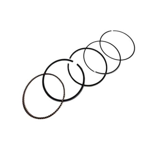 YBR125 YB125 125ccp 54mmsXgOKXPbgZbg(Ring(1.0))