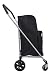 Produktbild Bo Time BTBC-SP-16 Einkaufstrolley, 4 Räder, faltbar, mit integrierter Thermostasche, große Kapazität, 63 l, mehrfarbig