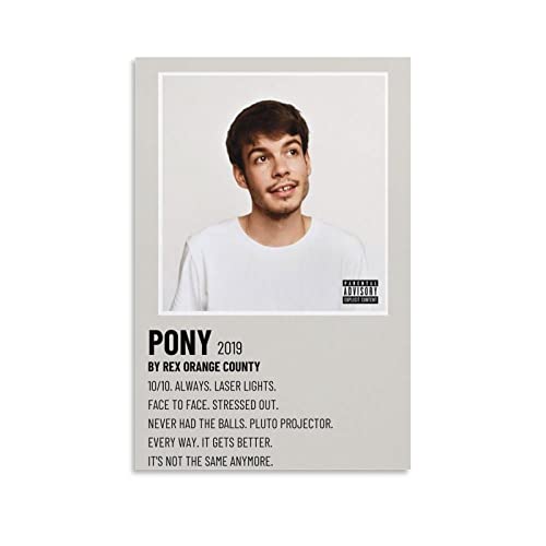 Poster Rex Orange County PONY 6 en toile 60x90 cm pour décoration de salon