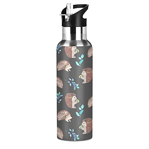 Animal Hedgehog Blueberry Bouteille d'eau isotherme en acier inoxydable avec couvercle à paille, pour garder le chaud et le froid pour le sport, la salle de sport, l'école, 590 ml Cover