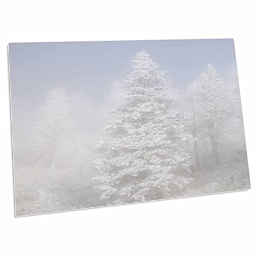 3dRose Colorado, Pike National Forest Desk Pad miniatura 1