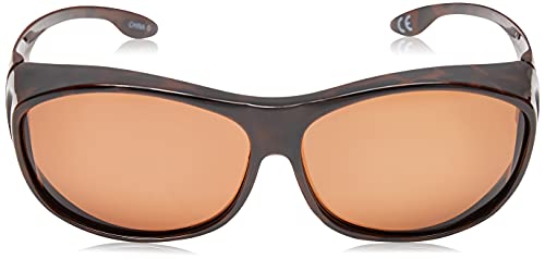 Dioptics Eldorado Polarized Rectangular Sunglasses2