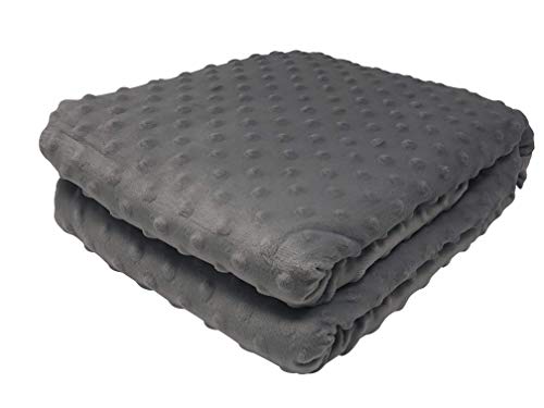 BARMY Weighted Lap Blanket (48