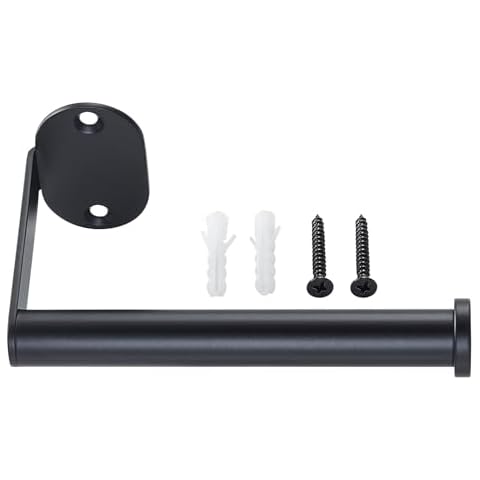 Raswik 5 inch Toilet Paper Holder in Black, Stainless Steel Wall-Mounted, Model MS-00198 Cover