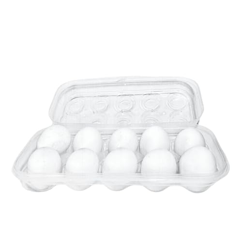 Porta Organizador de Ovos com Tampa - Capacidade Para 10 Ovos