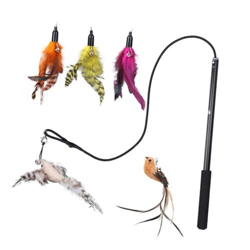 Alasum 1 ZbgNGCeBuybggC k  _   LeBp   