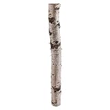 WEIDENPROFI Birkenstamm, Holzpfosten aus Birke, rund, natur, ungespitzt, Größe ca.: Ø 3-6 x 180 cm