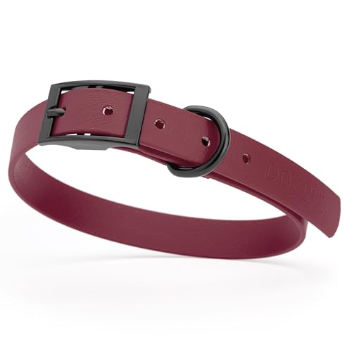 Image of Dogline Biothane Waterproof Dog Collar Strong Coated Nylon Webbing with Black Hardware Odor- Proof for Easy Care Easy to Clean High Performance Fits Small Medium or Large Dogs, Merlot Burgundy
