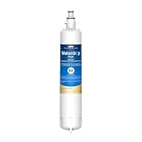 Waterdrop Plus WDP-F19C Replacement for GE® RPWFE®, RPWF (with CHIP) NSF 401 Refrigerator Water Filter, Compatible with GFE28GBLTS, GFE28GSKSS, PFE28KMKES, GFD28GYNFS, GFD28GBLTS, PWE23KYNFS
