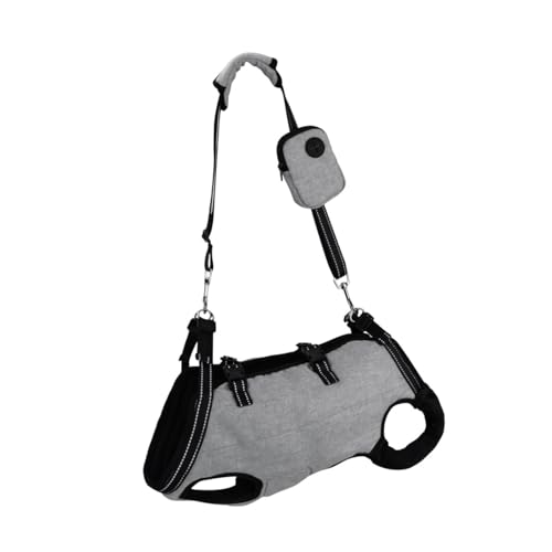 Leefasy pteBOn[lX s⏕ApteBOXgbvLAAT|[gn[lX, L