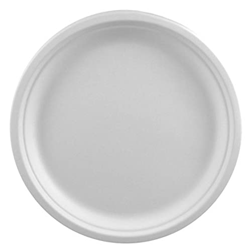 50 Teller, Zuckerrohr pure ungeteilt Ø 26 cm · 2 cm weiss