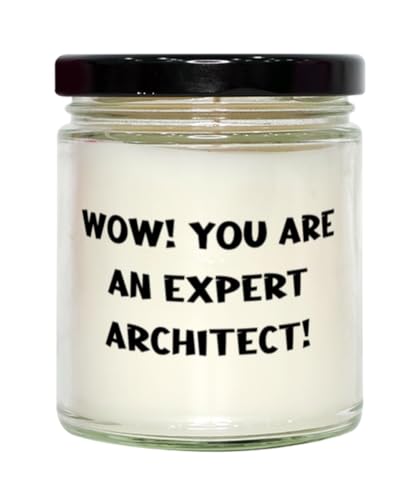 Funny Architect Gifts, Wow! You are an Expert Architect!, Sarcastic Birthday Scent Candle Gifts for Friends from Team Leader, Cheap Architect Gifts Under, Inexpensive Architect Gifts, Gifts for