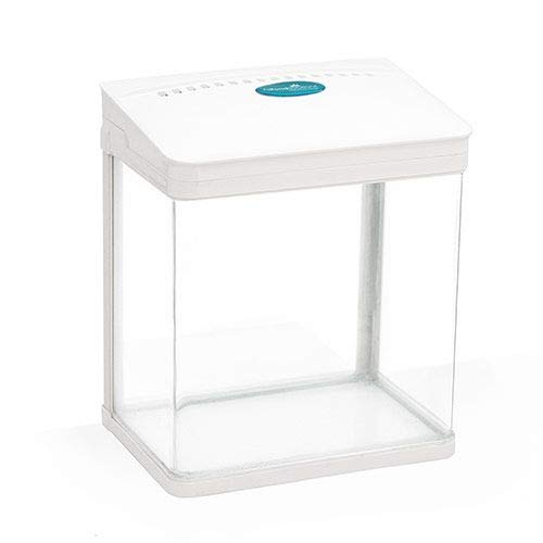 AllPondSolutions Nano Tropical Fish Tank - Rectangular Aquarium w/LED Light, Tray Filter System, Curved Glass Front, & 90° Tilting Hood - Coldwater/Tropical Tank, Heater Not Included - 7L, White — image 1