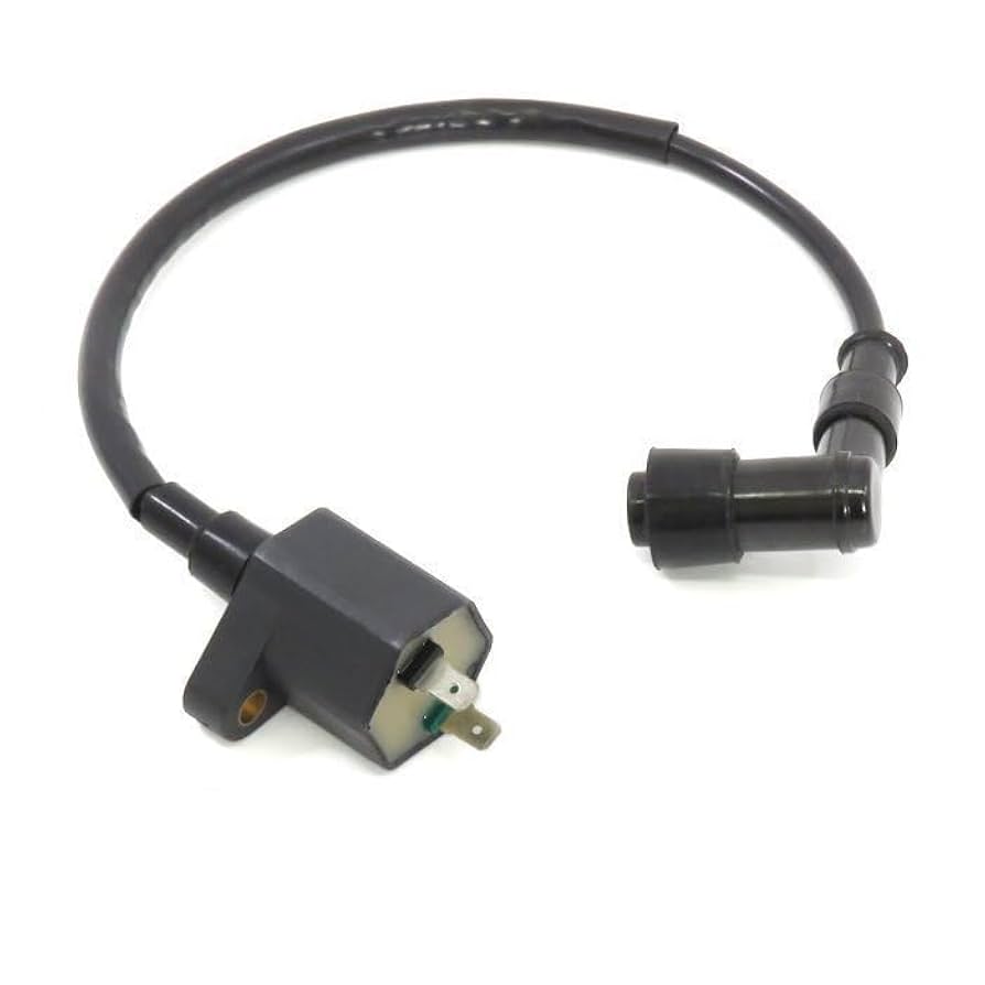 ボディエンジニア インボイス 41eg1+1FmSL.jpg