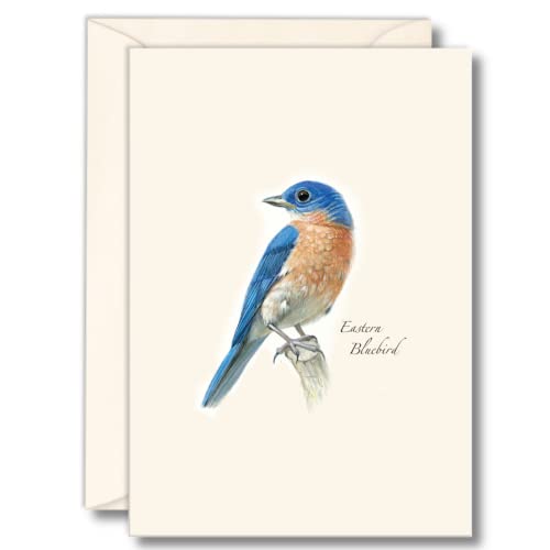 Image of Earth Sky + Water - Bluebird Notecard Set II - 8 Blank Cards with Envelopes