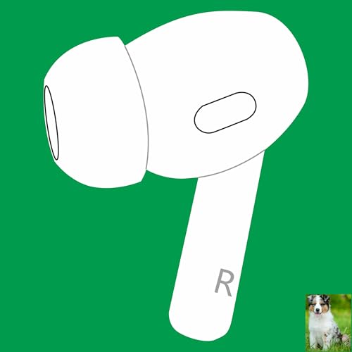 Meenova OEM Right Earbuds Replacement for Pods Pro (2nd Generation) A3047 A3048 A3049 Genuine Single Right Ear Side Only Compatible with Original Air Pro 2 A2968 Charging Case