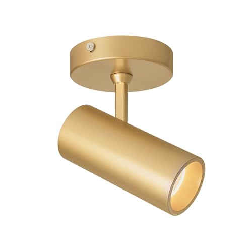 Aisilan 12W LED Ceiling Spotlight, Adjustable Directional Surface Flush Mount Lighting, Wall Spot...