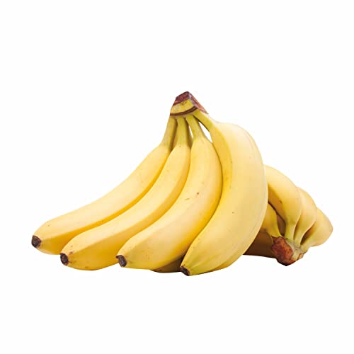 Banana Ecuador Semi Ripe To Ripe 900g-1kg Approx.