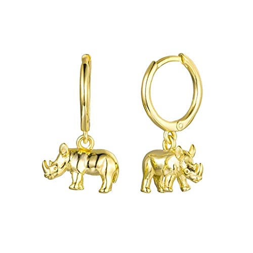Boucles d'oreilles de cartilage minimalistes en argent anti-irritation pour femme