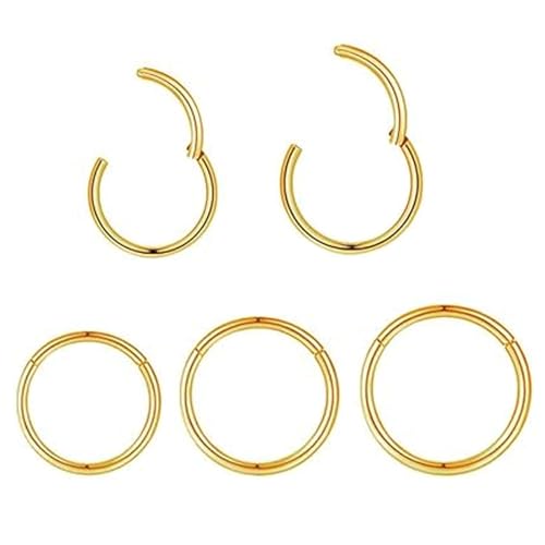 5pcs Hypoallergenic Nose Rings Hoops for Women Men 16G/18G/20G 316L Surgical Steel Hinged Clicker Segment for Nostril Septum Helix Cartilage Daith Tragus Conch Rook Lip Ear Lobe Earrings