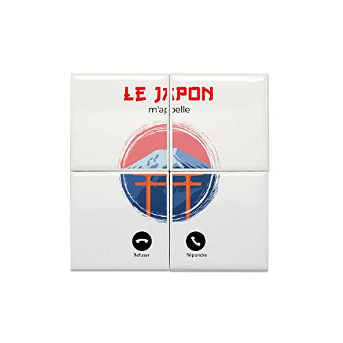 Carreaux céramique 15,2x15,2 cm de haute qualité pour une fresque murale durable