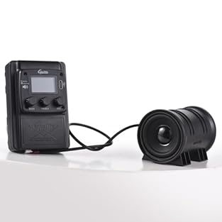 WAV Format: Supports WAV format with 24-bit sampling precision for exceptional clarity and detail in playback and recording Powerful 3W Output: Features a robust 3W output with a built-in 2900mAh lithium battery for rich sound quality and extended us...