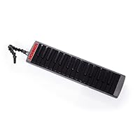 Amazon.co.jp: HOHNER ホーナー 鍵盤ハーモニカ メロディカ