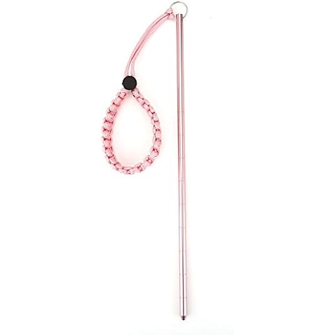 Tauchstock mit Lanyard, Tragbar Tauchen Riffstab Zeigestab Zeigestab Diving Pointer Stick mit Spiralkabel(Rosa) Cover