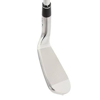 Amazon.co.jp: 本間ゴルフ（HONMA） LB818 中空アイアン (11I