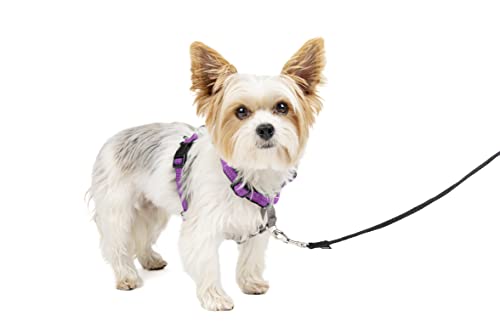 Petsafe 3 In 1 Dog Harness - No Pull Solution For Dogs - Reflective Dog Harness - Front D-Ring Clip Helps Stop Pulling - Comfortable Padded Straps - Top Handle Enhances Control - Plum - Extra Small #TOP21