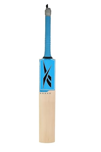 Reebok Master Blaster Kashmir Willow Cricket Bat