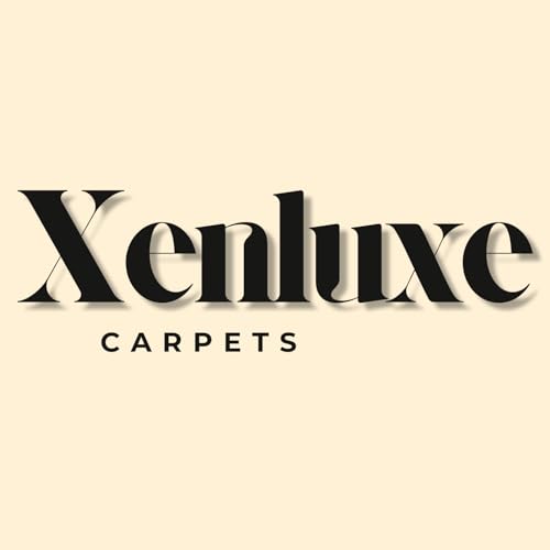 Image of 2x4 feet Soft Runner Rug for Living Room and Bedroom, Modern Indoor Floor Carpet with Non-Slip Backing, Comfortable Decorative Home Decor Rug, Easy Clean & Durable- (Black, Rectangular)