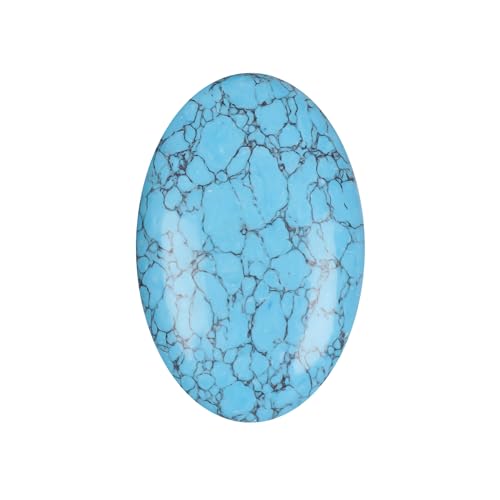 GEMHUB {̓ ^[RCY I[oJbg  J{V XJC 57.35Jbg WG[p Ђъꂽu[WFXg[ y_gp