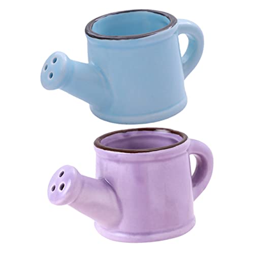 FUNOMOCYA 2Pcs Watering Pots for Home and Garden Indoor Plant Watering Can Purple and Blue for House Plant Care and Decoration