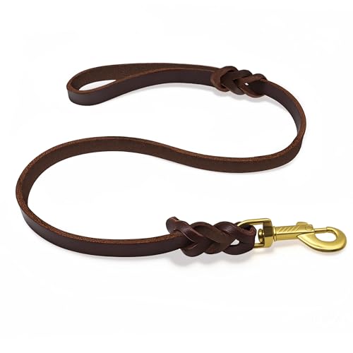 Qianruida Guinzaglio per Cani in Vera Pelle Durevole Pelle Guinzaglio per Cani Con Manico a Treccia Classico E Chiusura in Metallo per L'allenamento a Camminare E Corsa (4ft)