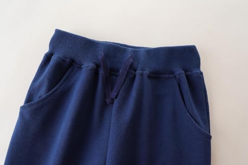 Irsutey Toddler Boys Cotton Dinosaur Embroidery Pattern Jogging Pants Kids Elastic Sports Pants Casual Sweatpants Autumn2