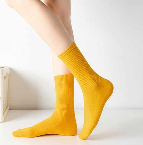 Image of Womens Colorful Basic Sock -Unique Knit Cotton Crew Socks 3 Pack