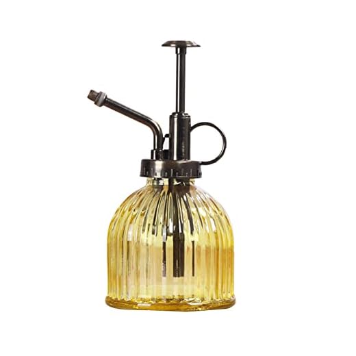 Yusheng Botellas pulverizadoras para plantas, estilo vintage, hervidor de agua retro con bomba superior para jardinería, plantas de exterior, plantas de interior