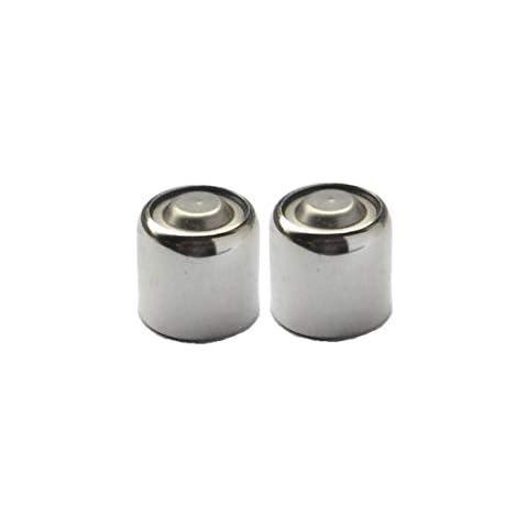 My Battery Supplier LR50 A1PX PX1 VPX1 EPX1 for Vintage Camera 2 Batteries Cover