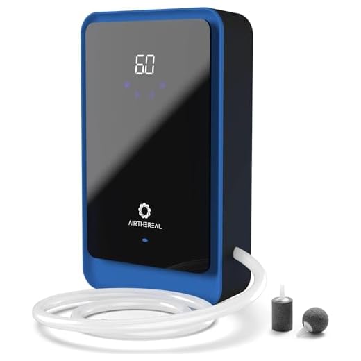 Airthereal AH1000 Ozongenerator - 1000 mg/h mit Timer und Negativionengenerator