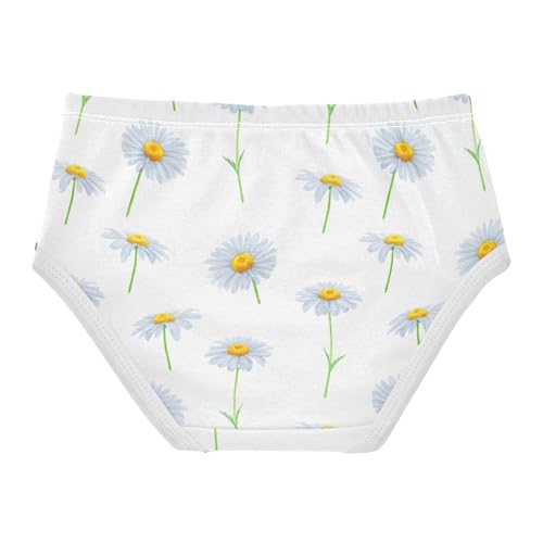 Daisies White Petals Floral Toddler Girls Underwear 2t Cotton Girl Panties Cute Colorful Briefs Underpants2