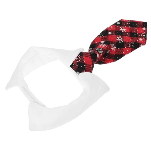 HAWILLOSCH p߉\֕tiqlN ybgpRX`[ Lp p[eB[LOBe