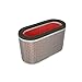 Hiflofiltro HFA1923 Premium OE Replacement Air Filter