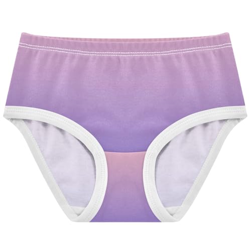 Blush Pink Slate Blue Gradient Girls Underwear Toddlers 2t Cotton Panties for Girl Animal Undies Kids Briefs