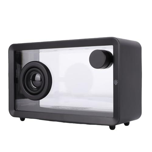 Bewinner Transparenter Kabelloser Bluetooth-Lautsprecher mit RGB-Lichtern, Tragbarer Stereo-Lautsprecher mit 12 Stunden Spielzeit, Freisprechen, AUX-Eingang, Kompaktes, Durchsichtiges