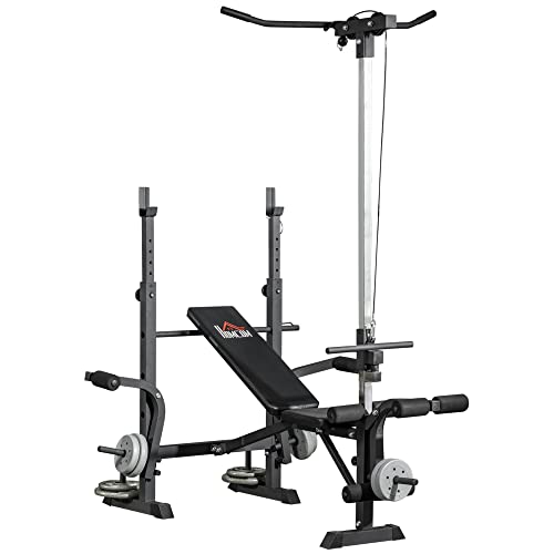 HOMCOM Banco de Musculación Banco de Pesas Multifuncional Ajustable en 6 Niveles para Entrenamiento de Cuerpo Completo en Gimnasio Hogar Carga 150 kg 180x134x200 cm Plata y Negro